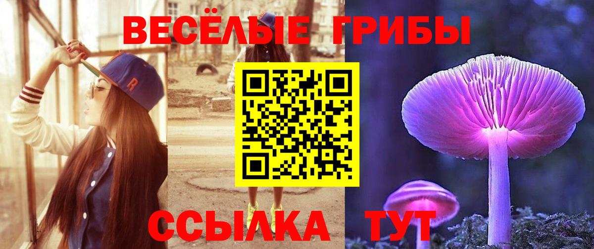 Псилоцибиновые грибы Cubensis  Псилоцибиновые грибы MAGIC MUSHROOMS  Вход с VPN  Сыктывкар 