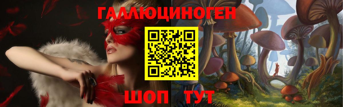 Псилоцибиновые грибы Psilocybe Сыктывкар