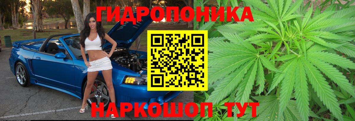 Бошки Шишки OG Kush  Вход с VPN  Бошки Шишки тримм  Сыктывкар 